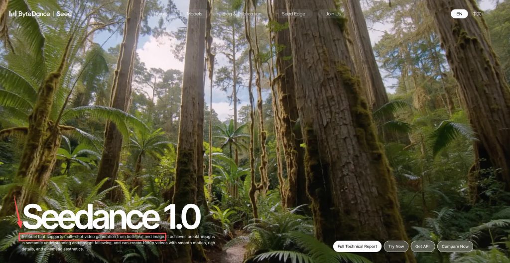 Learn how Seedance 1.0 enhances the Seedance creative workflow with multi-shot text and image video generation.